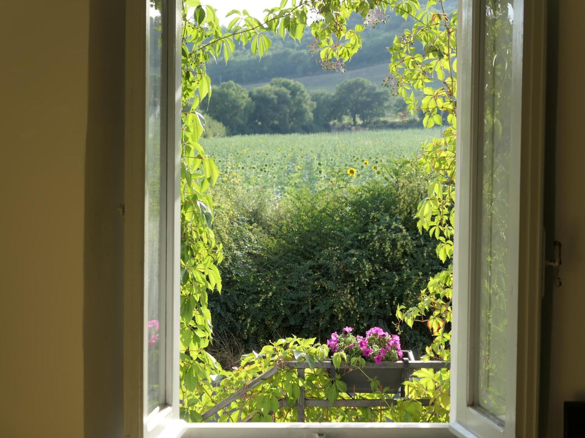 Casa Al Vantaggio Villa Orvieto Bagian luar foto