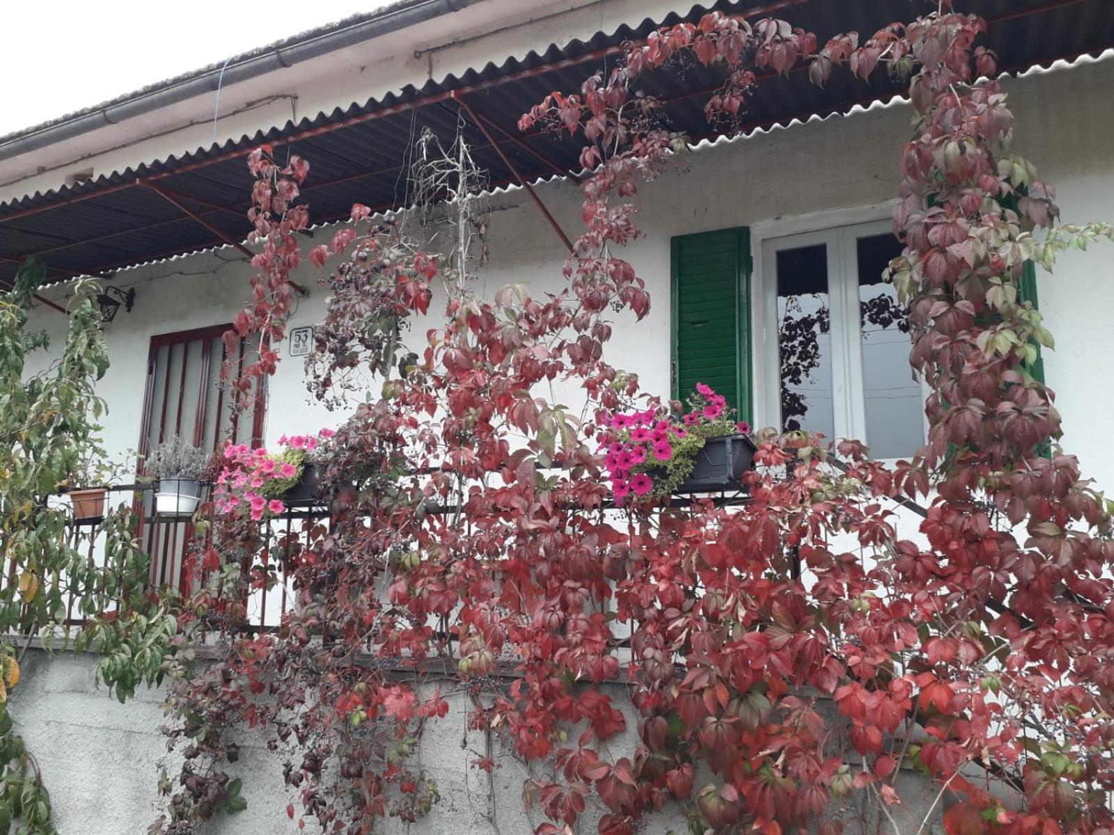 Casa Al Vantaggio Villa Orvieto Bagian luar foto